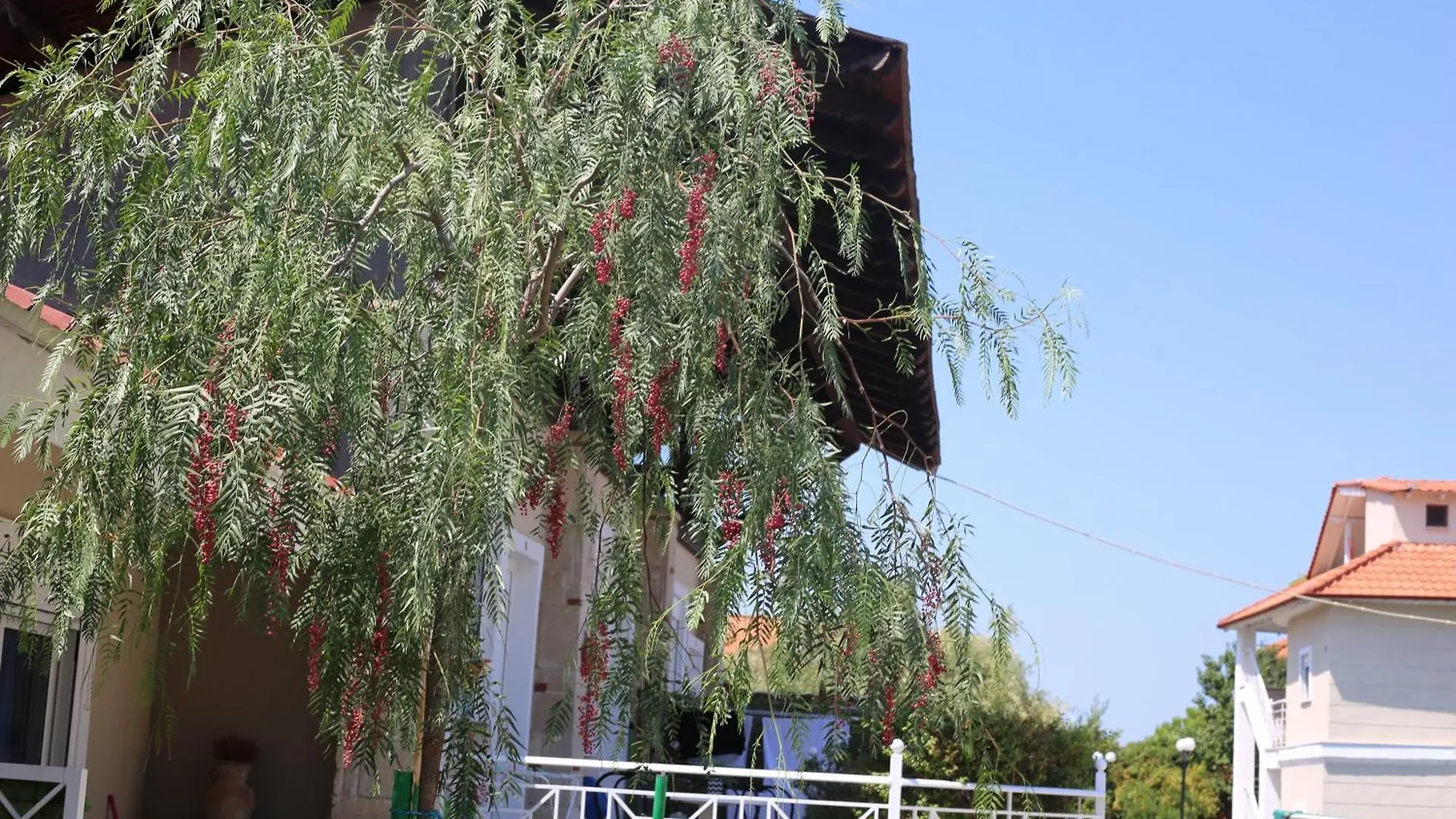 Golden Residence Family Resort Pefkochori Apartment